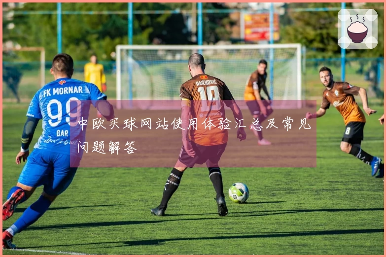 中欧买球网站使用体验汇总及常见问题解答