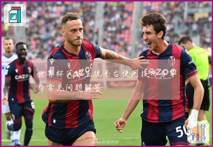 世界杯买球正规平台使用技巧分享与常见问题解答