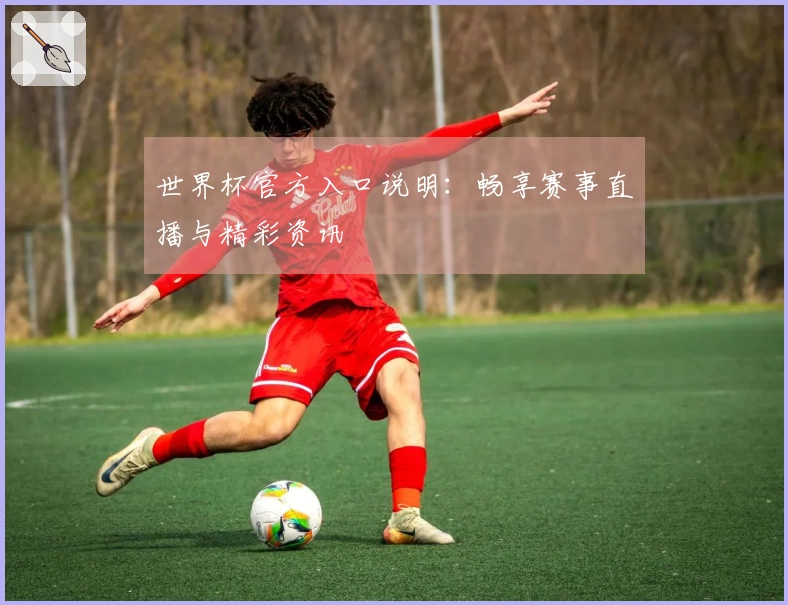 世界杯官方入口说明:畅享赛事直播与精彩资讯