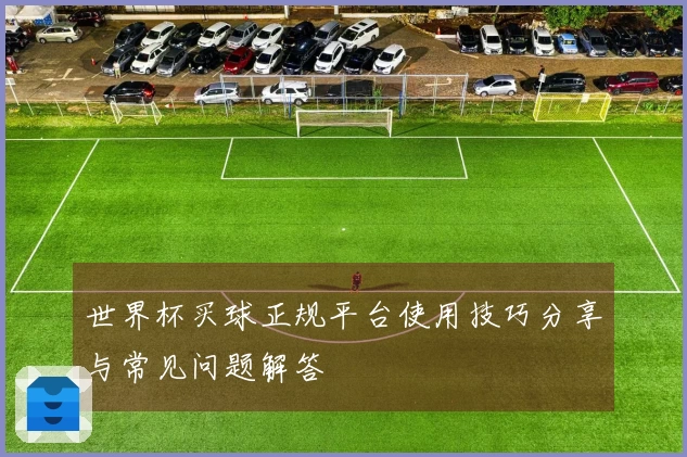 世界杯买球正规平台使用技巧分享与常见问题解答