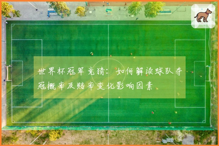 世界杯冠军竞猜：如何解读球队夺冠概率及赔率变化影响因素