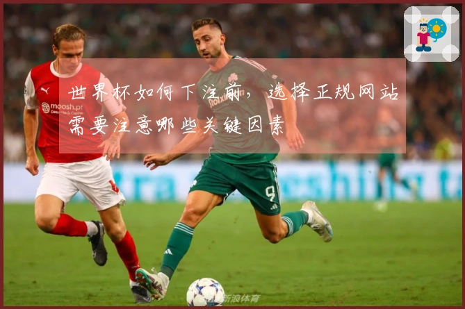 世界杯如何下注前，选择正规网站需要注意哪些关键因素