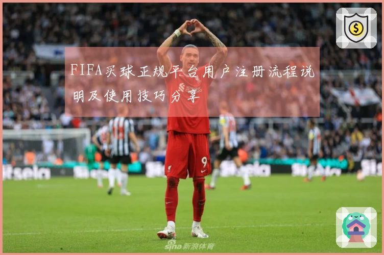 FIFA买球正规平台用户注册流程说明及使用技巧分享