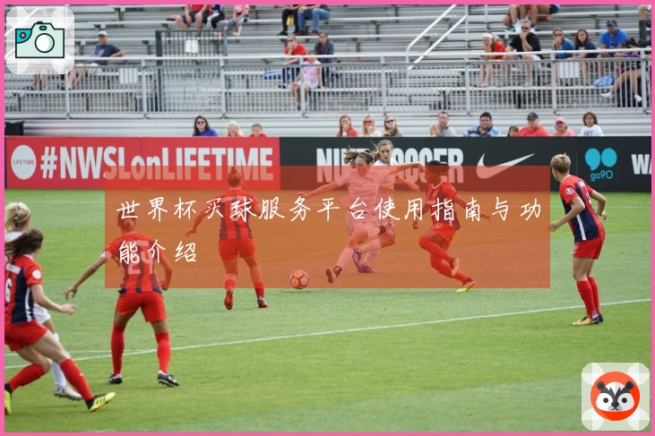 世界杯买球服务平台使用指南与功能介绍