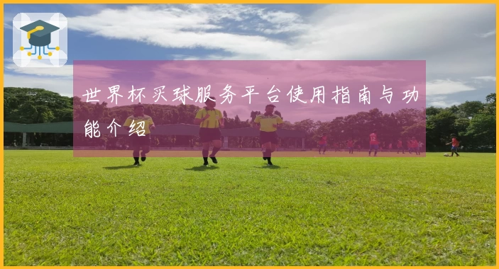 世界杯买球服务平台使用指南与功能介绍