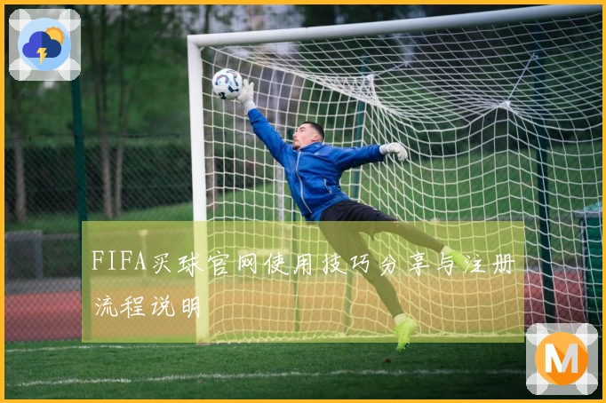 FIFA买球官网使用技巧分享与注册流程说明