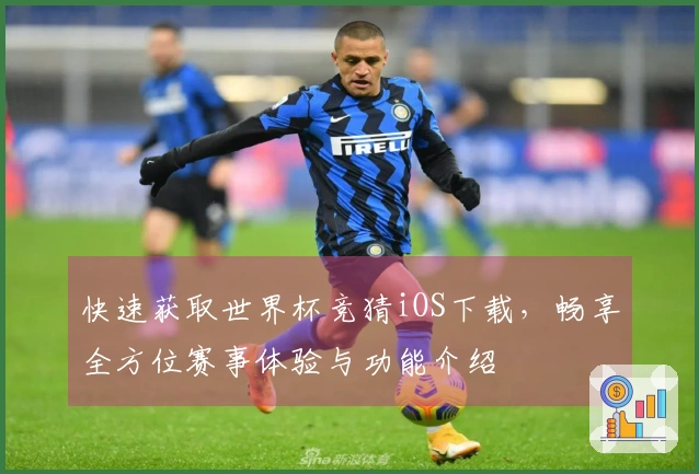 快速获取世界杯竞猜iOS下载,畅享全方位赛事体验与功能介绍