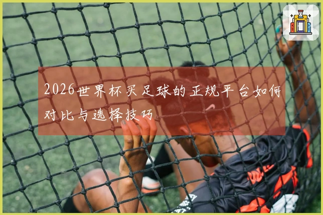 2026世界杯买足球的正规平台如何对比与选择技巧