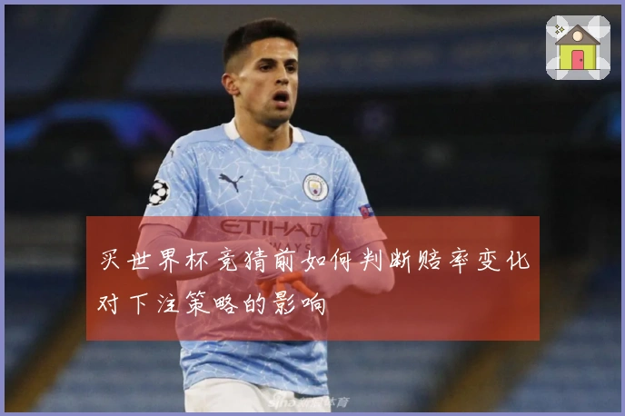 买世界杯竞猜前如何判断赔率变化对下注策略的影响