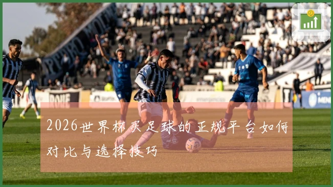 2026世界杯买足球的正规平台如何对比与选择技巧